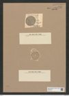 Coscinodiscus curvatulus var. genuinus Grun. (de-Toni-Nr.: Genus 202, Species 4928) Zeichnungen Sammlung Grunow Nr. 8507 (NHMW-BOT-W0378125)